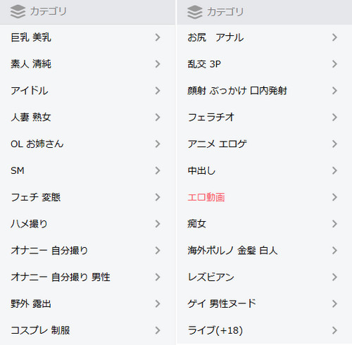 FC2エロ動画のカテゴリー