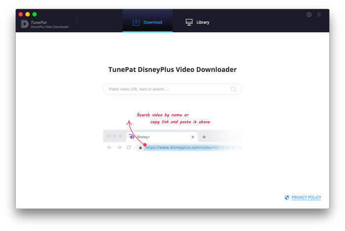 Disneyplus Video Downloader を実行した画面